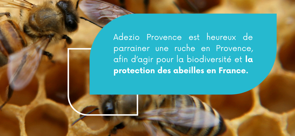 Groupe Adezio X Prizius