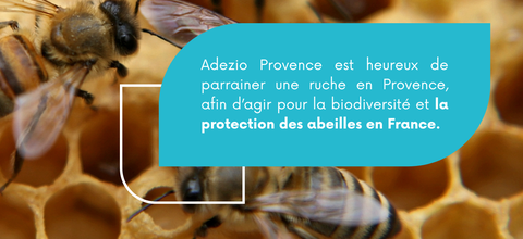 Groupe Adezio X Prizius